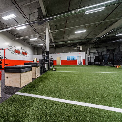 Arena Turf with Inlaid White Lines for Indoor Training Facilities